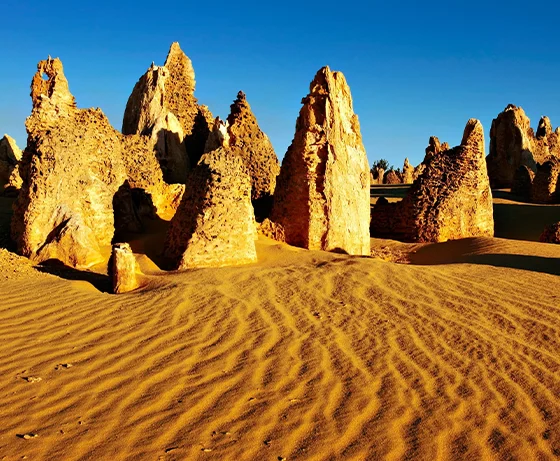 Australian Pinnacle Tours