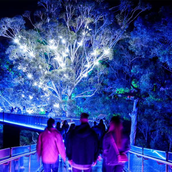 Lightscape