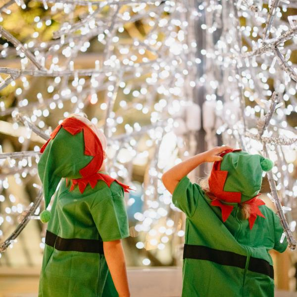 Rio Tinto Christmas Lights Trail